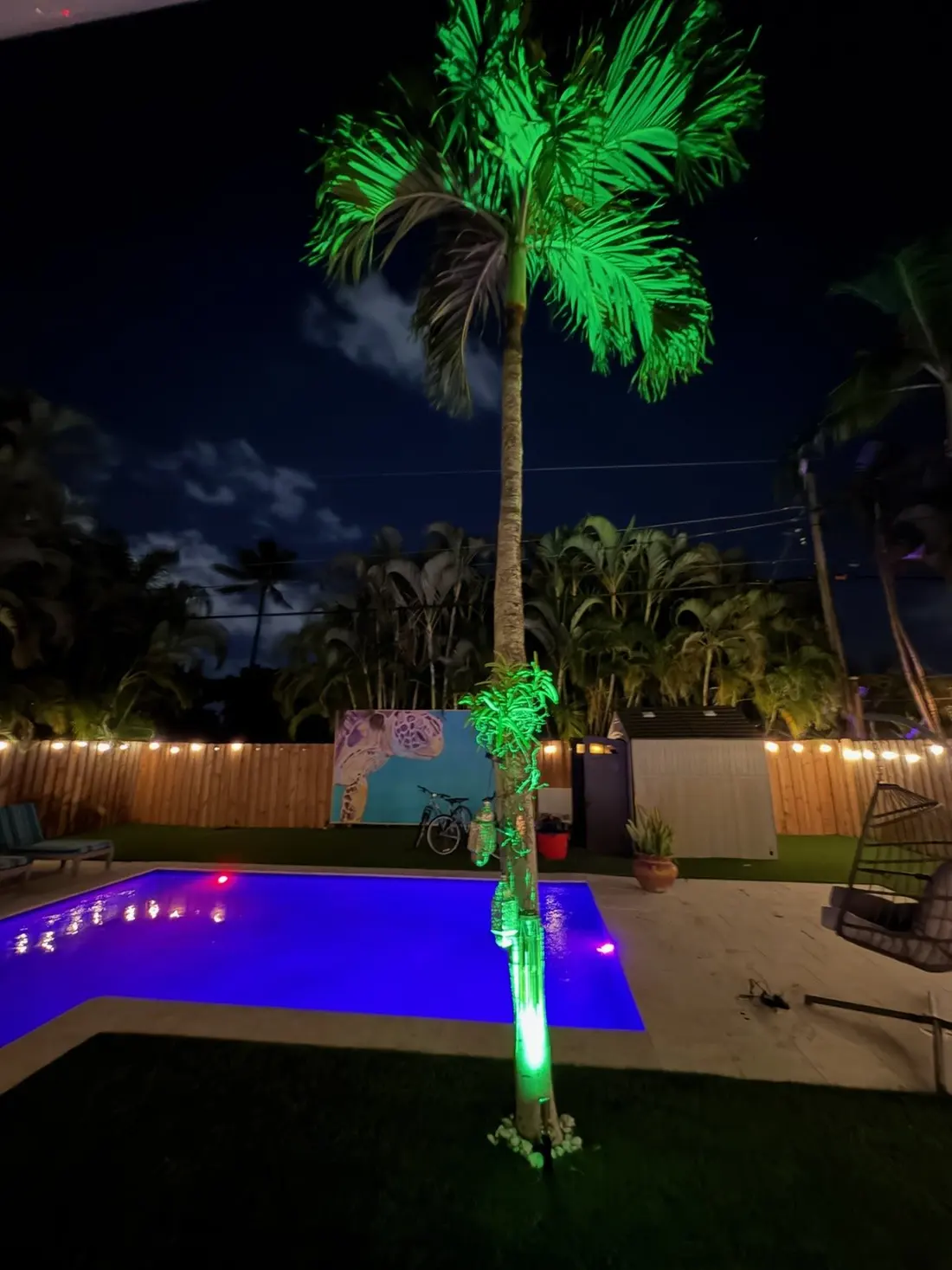 A palm uplit green beside the pool at night, the turtle mural and string-lit fence behind it