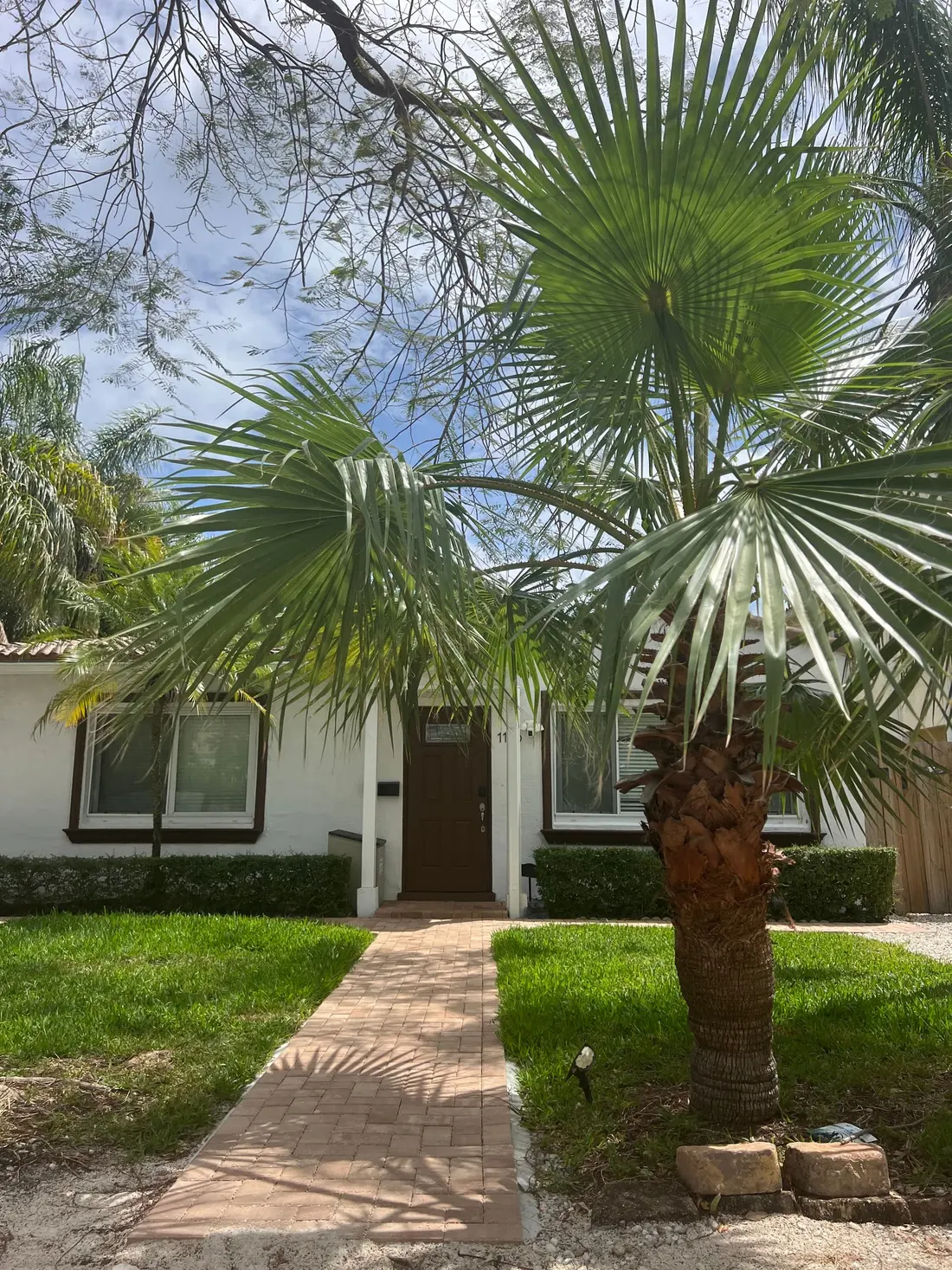 The front of the bungalow with palms