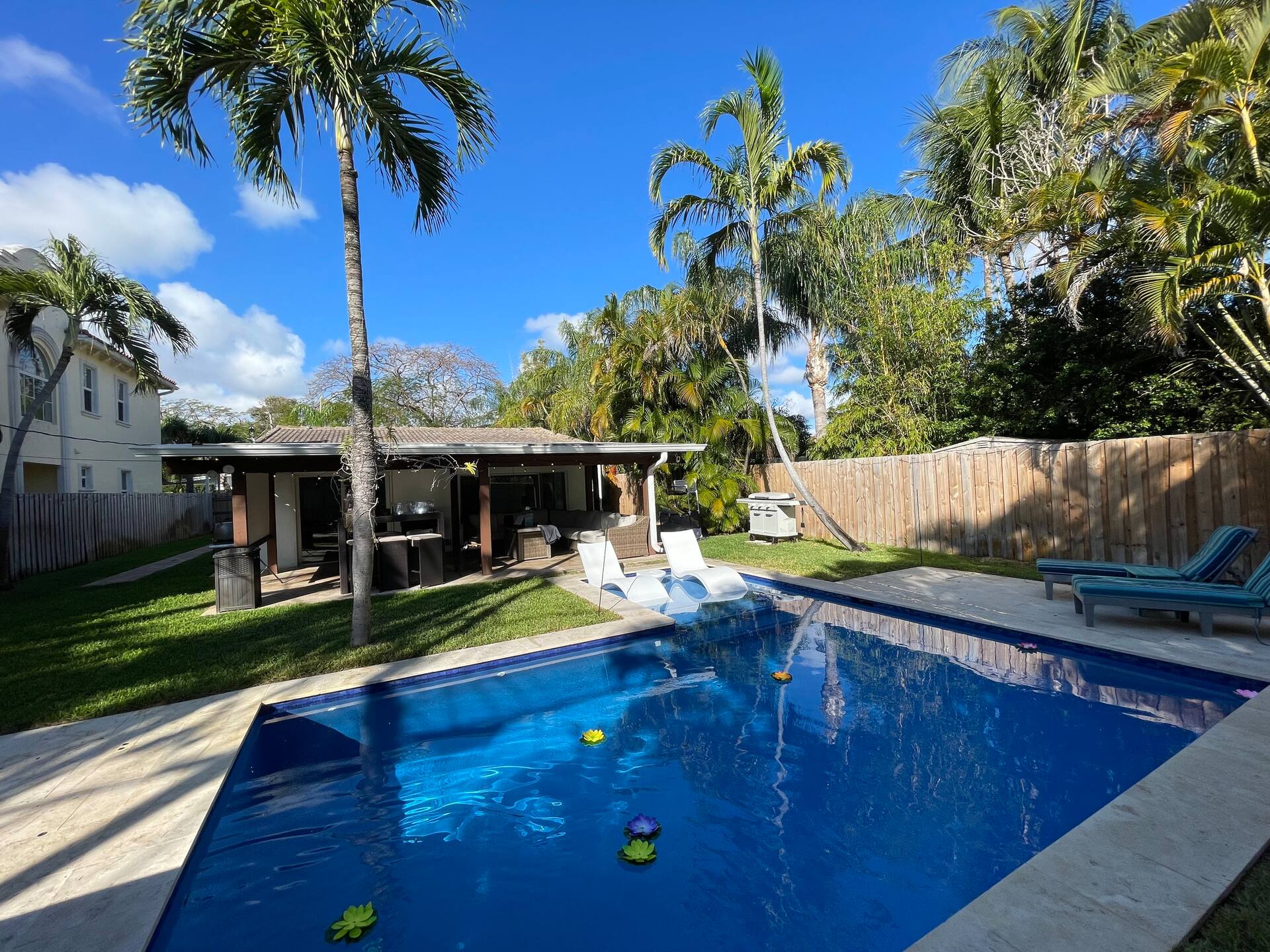 The sunlit pool and palms in the private backyard