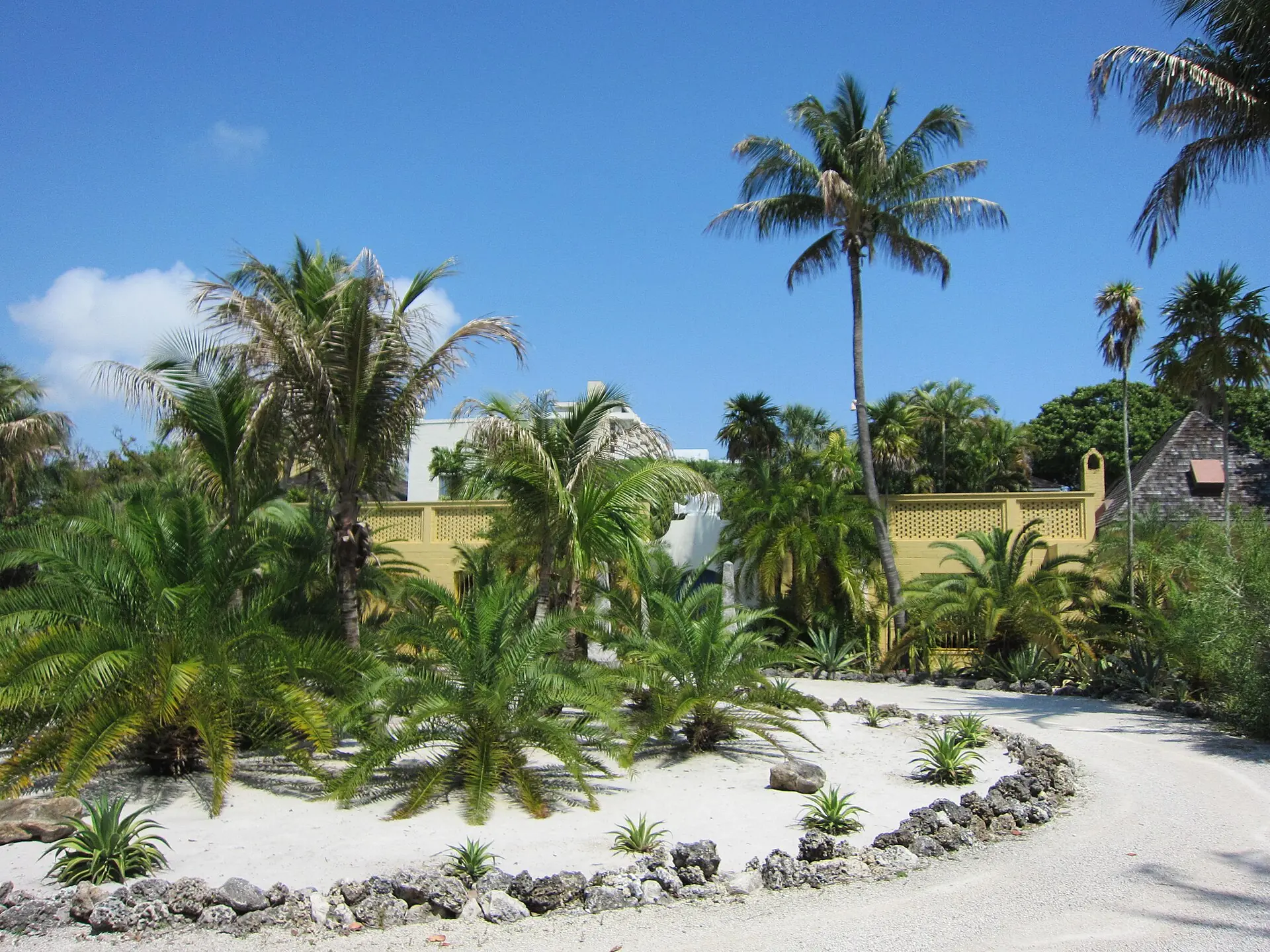 Bonnet House Museum & Gardens: a curving white-gravel driveway bordered by coquina rocks, tropical palms, and the historic yellow wall of an estate under a clear blue sky