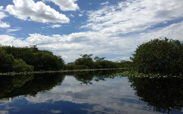 Everglades Holiday Park: a calm wetland canal lined with dense green bushes and lily pads under a partly cloudy sky reflected in the dark water