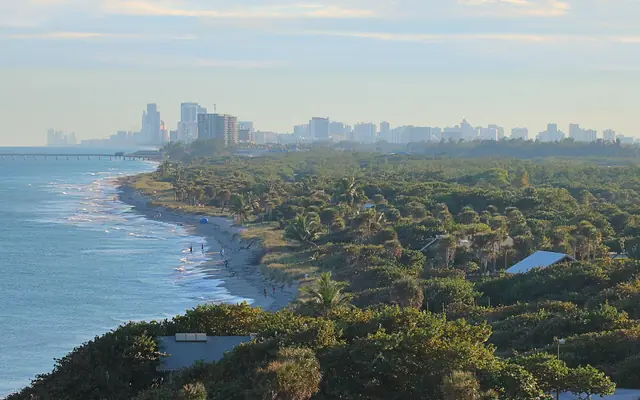 Fort Lauderdale Beach: an elevated coastal view looking south along a sandy beach and lush maritime coastal vegetation toward a distant ocean pier and city skyline