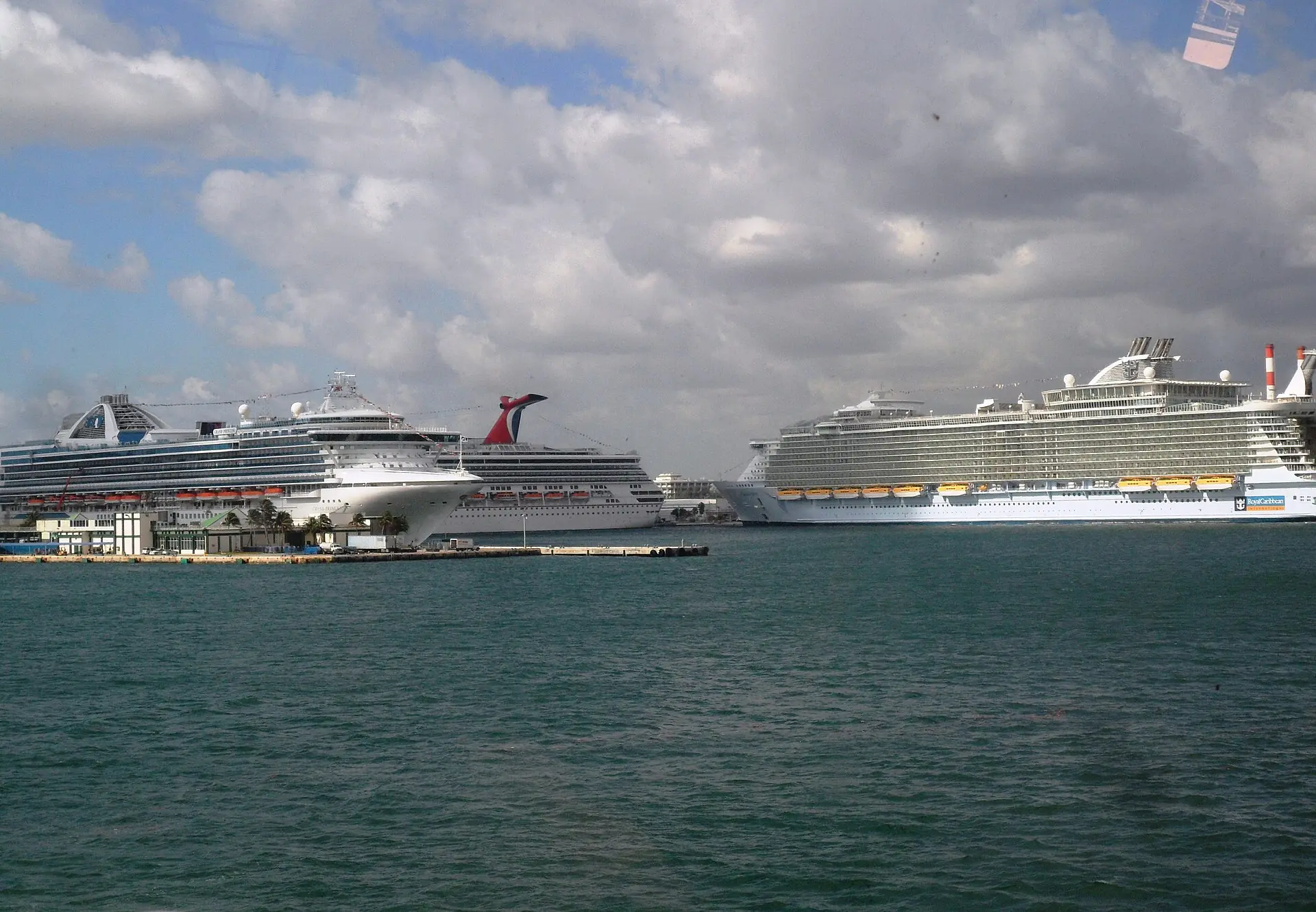 Port Everglades: multiple large cruise ships docked across a harbor basin under a partly cloudy sky