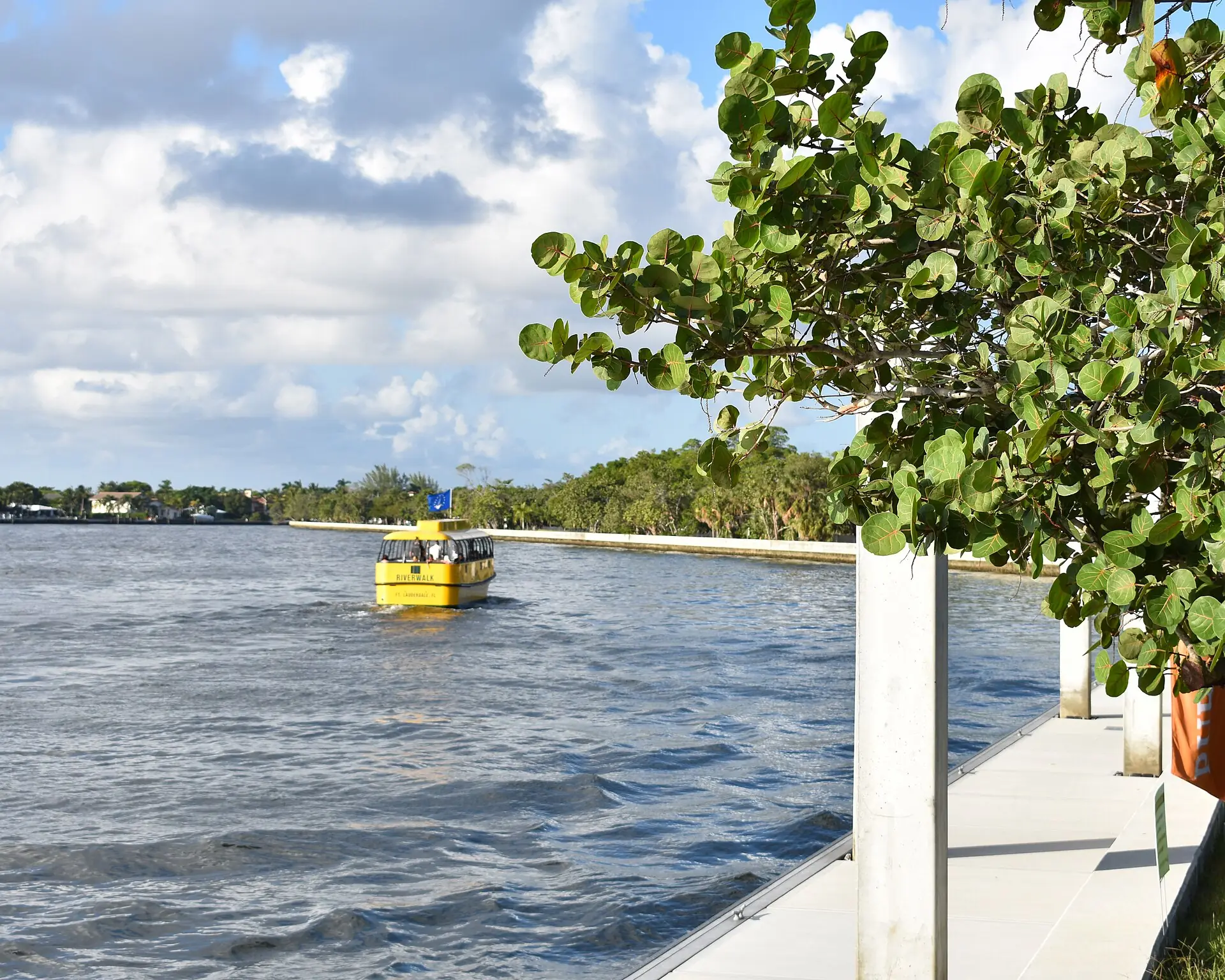 Hugh Taylor Birch State Park: a yellow water taxi cruises along the Intracoastal Waterway viewed from a dock beside a sea grape tree