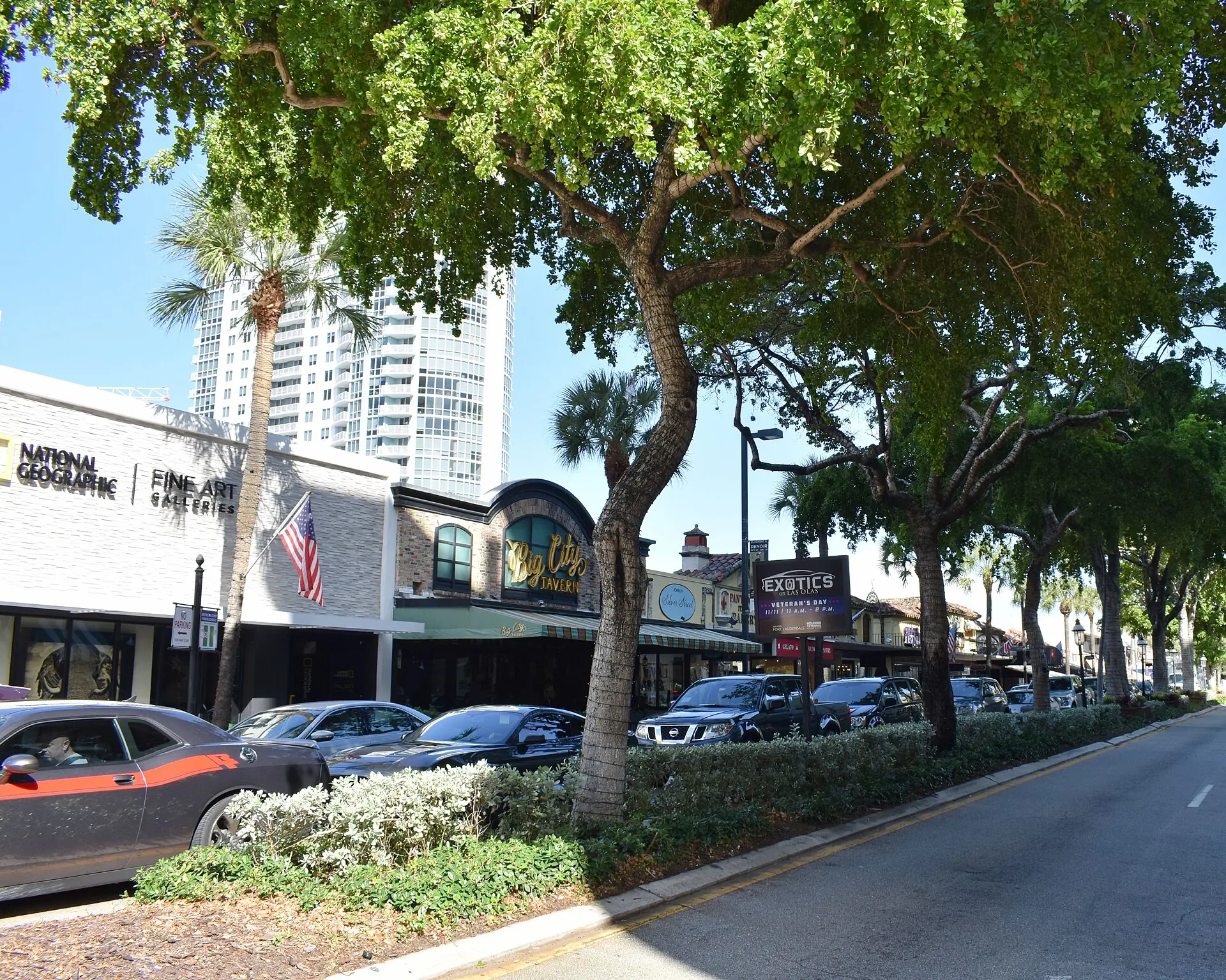 A daytime street view along Las Olas Boulevard in Fort Lauderdale showing storefronts, parked cars, and leafy shade trees