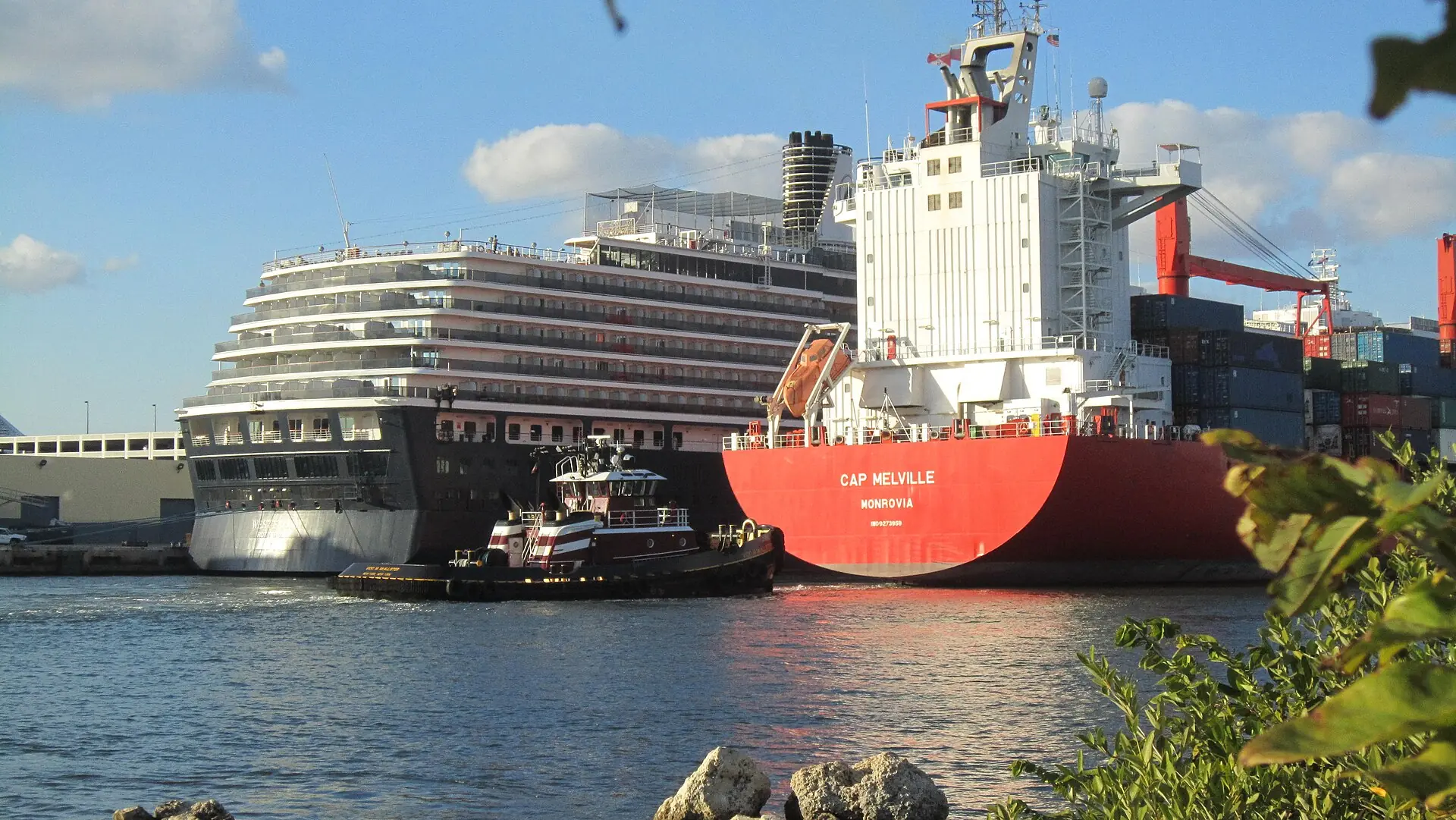 Port Everglades: a large cargo ship, a tugboat, and a Holland America Line cruise ship docked in a busy port basin viewed across the water