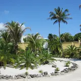 Bonnet House Museum & Gardens: a curving white-gravel driveway bordered by coquina rocks, tropical palms, and the historic yellow wall of an estate under a clear blue sky
