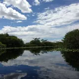 Everglades Holiday Park: a calm freshwater canal in a wetland lined with dense green vegetation and reflecting a partly cloudy blue sky
