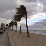 State Road A1A and North Beach on a windy day, palms leaning over the sand and the Atlantic beside the road
