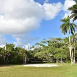 Hugh Taylor Birch State Park: a sand volleyball court in an open grassy park clearing surrounded by lush tropical trees and royal palms under a partly cloudy sky