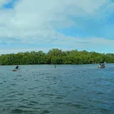 John Pennekamp Coral Reef State Park: a wide view across calm coastal water toward a dense mangrove shoreline, seen from a kayak with an orange paddle tip visible in the lower righ
