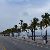 Fort Lauderdale Beach & Promenade: palms along the beachfront promenade at Las Olas Beach