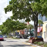 A daytime street view down tree-lined Las Olas Boulevard in Fort Lauderdale, showing shops, cars, and downtown towers in the distance