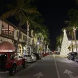 Worth Avenue in Palm Beach at night, decorated for the holidays with illuminated palm trees and a large glowing Christmas tree