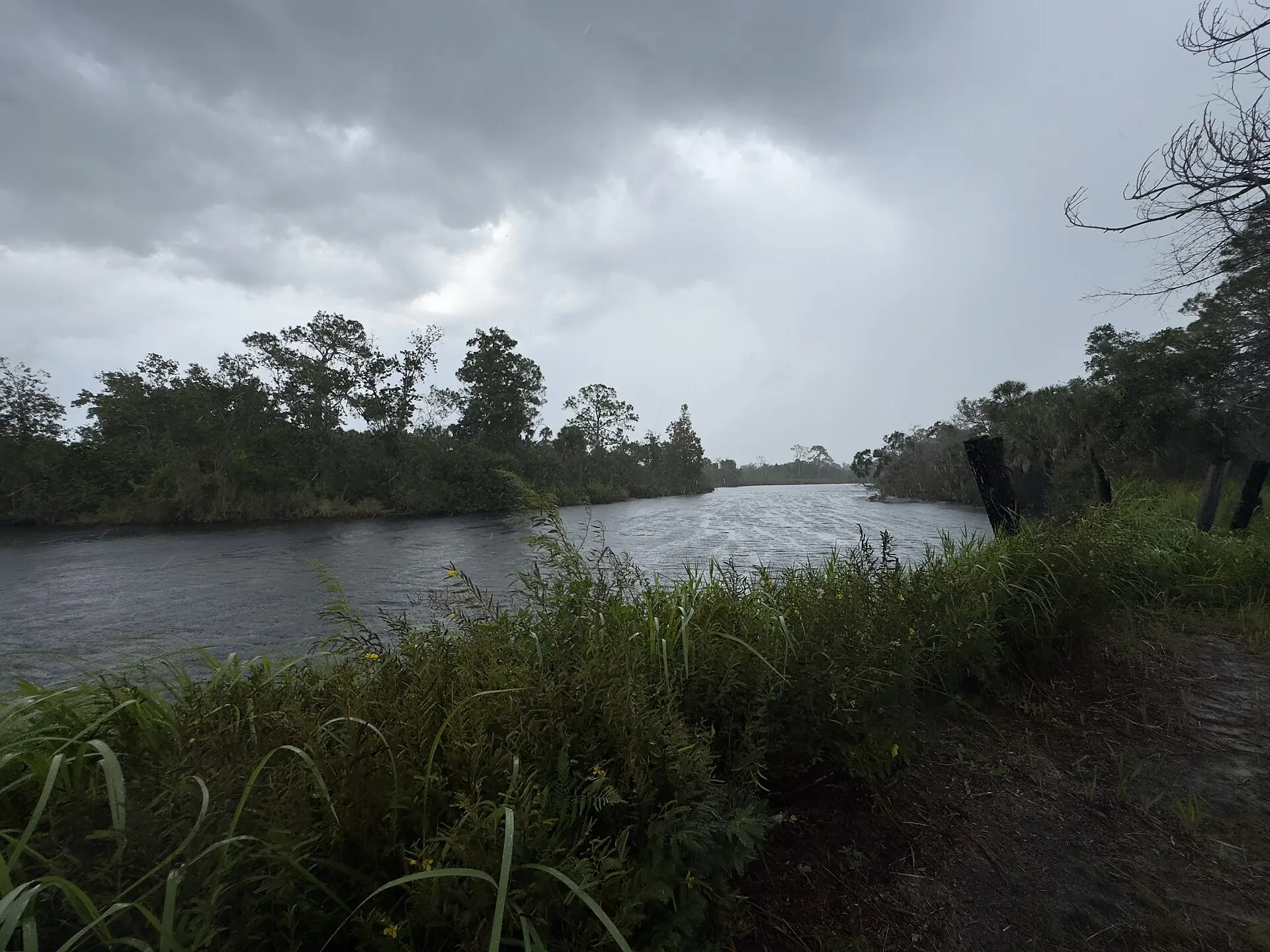 A thunderstorm building over the Little Manatee River in Florida